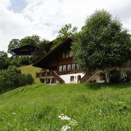Chalet Unter Dem Stein Grindelwald Kültér fotó