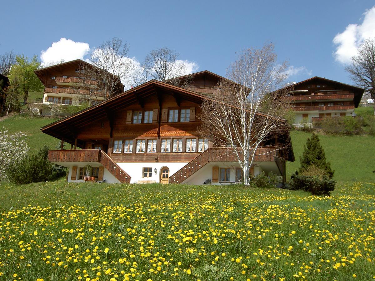 Chalet Unter Dem Stein Grindelwald Kültér fotó